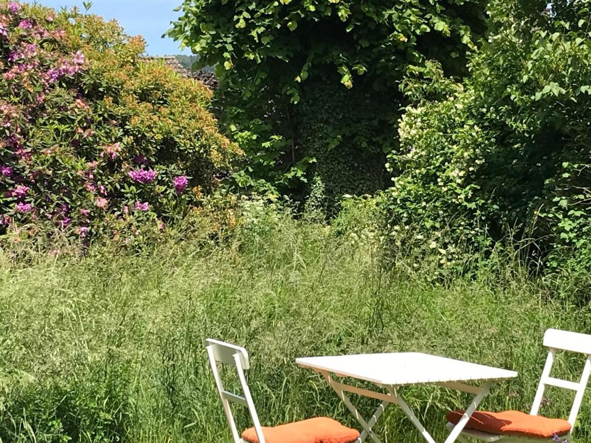 Haus Kroneck-Salis Gaesteappartement Bad Iburg Buitenkant foto